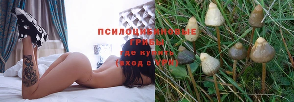 винт Балабаново
